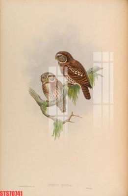 Tải file Tranh sơn dầu phương tây tổng hợp STS70741 (gốc) để in ấn ngay