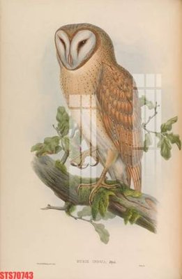 Tải file Tranh sơn dầu phương tây tổng hợp STS70743 (ảnh gốc) 300dpi Tranh sơn dầu phương tây tổng hợp STS70743