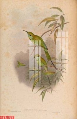 File PSD Tranh sơn dầu phương tây tổng hợp STS70763 (bản gốc) cho nhà in