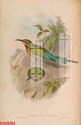 File in mica Tranh sơn dầu phương tây tổng hợp STS70764 (ảnh gốc) đẹp