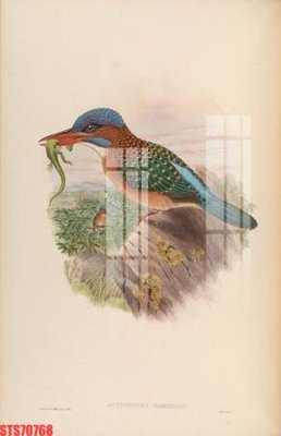 Chi tiết file tranh tráng gương Tranh sơn dầu phương tây tổng hợp STS70768 (ảnh gốc)