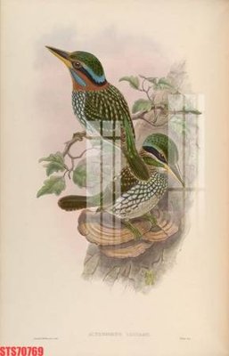 File in trần Tranh sơn dầu phương tây tổng hợp STS70769 (bản gốc) phong cảnh