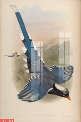 File tranh Tranh sơn dầu phương tây tổng hợp STS70771 (gốc) in trên kính