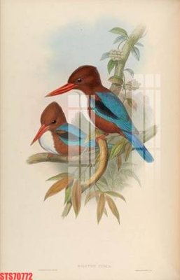 File gốc Tranh sơn dầu phương tây tổng hợp STS70772 (cho in ấn) từ kho Filetranh