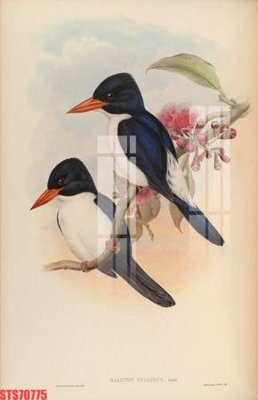 Tải file Tranh sơn dầu phương tây tổng hợp STS70775 (gốc) chủ đề tâm linh