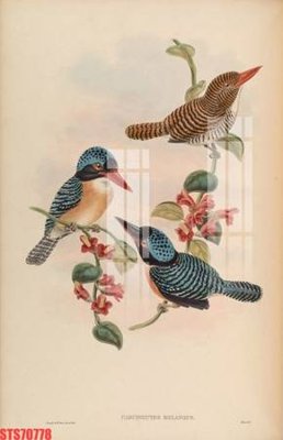 File in trần Tranh sơn dầu phương tây tổng hợp STS70778 (bản gốc) trời sao