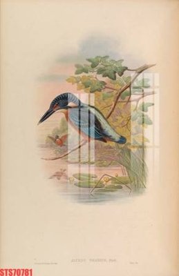 File tranh Tranh sơn dầu phương tây tổng hợp STS70781 (gốc) chủ đề động vật