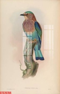 File gốc Tranh sơn dầu phương tây tổng hợp STS70784 (in ấn) màu sắc trung thực