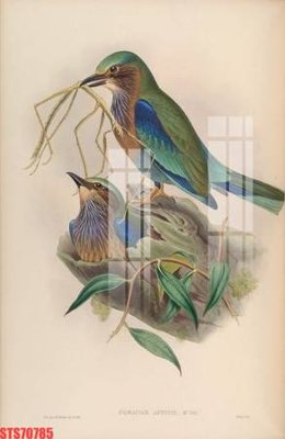 File tranh Tranh sơn dầu phương tây tổng hợp STS70785 (gốc) chủ đề trẻ em