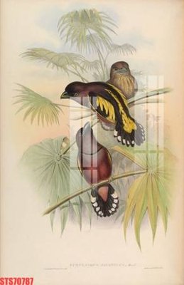 Download file gốc Tranh sơn dầu phương tây tổng hợp STS70787 (in mica) trong suốt