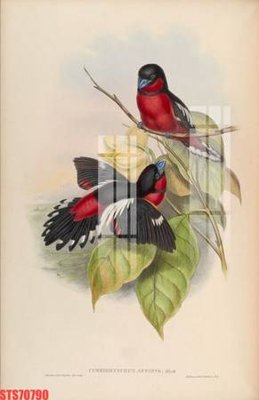 Tải file Tranh sơn dầu phương tây tổng hợp STS70790 (ảnh gốc) in tranh kính