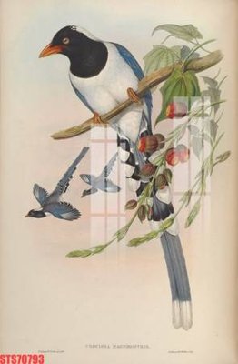 File tranh gốc PSD Tranh sơn dầu phương tây tổng hợp STS70793 còn nguyên layer