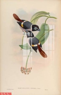 Download file Tranh sơn dầu phương tây tổng hợp STS70796 (chất lượng in ấn)