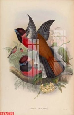 Tải file Tranh sơn dầu phương tây tổng hợp STS70801 (ảnh gốc) file AI/EPS