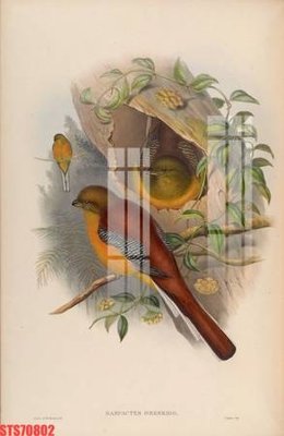 File tranh Tranh sơn dầu phương tây tổng hợp STS70802 (ảnh gốc) cho in ấn kỹ thuật số