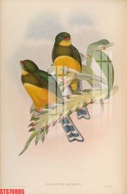 Tệp tin gốc Tranh sơn dầu phương tây tổng hợp STS70805 (chất lượng cao) Tranh sơn dầu phương tây tổng hợp STS70805