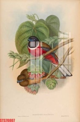 Tải về file tranh gốc Tranh sơn dầu phương tây tổng hợp STS70807 (để in quảng cáo)