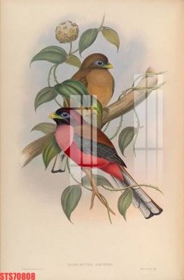 Tải file gốc Tranh sơn dầu phương tây tổng hợp STS70808 (in tráng gương) 3DFile gốc Tranh sơn dầu phương tây tổng hợp STS70808 (sẵn sàng in) chất lượng cao