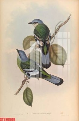 File tranh Tranh sơn dầu phương tây tổng hợp STS70809 (ảnh gốc) in trần nhà