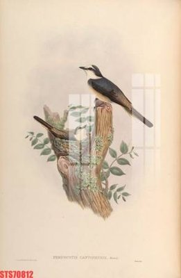 File gốc Tranh sơn dầu phương tây tổng hợp STS70812 (in lụa) chi tiết cao