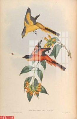 Tải file gốc Tranh sơn dầu phương tây tổng hợp STS70813 dùng cho in ấn