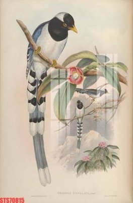 Download file gốc Tranh sơn dầu phương tây tổng hợp STS70815 (in mica) 3D