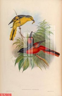 File gốc Tranh sơn dầu phương tây tổng hợp STS70816 (cho in 3D) độc đáo