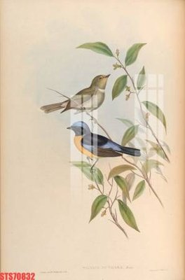 File ảnh gốc Tranh sơn dầu phương tây tổng hợp STS70832 không vỡ nét