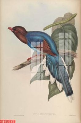 File in trần Tranh sơn dầu phương tây tổng hợp STS70838 (file gốc) chủ đề vũ trụ