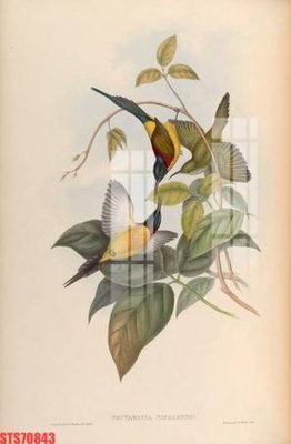 Mua file gốc Tranh sơn dầu phương tây tổng hợp STS70843 (PSD) tại Filetranh.com