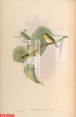 File PSD Tranh sơn dầu phương tây tổng hợp STS70846 (bản gốc) chất lượng nhất