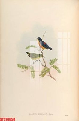 File in trần Tranh sơn dầu phương tây tổng hợp STS70850 (bản gốc) bầu trời