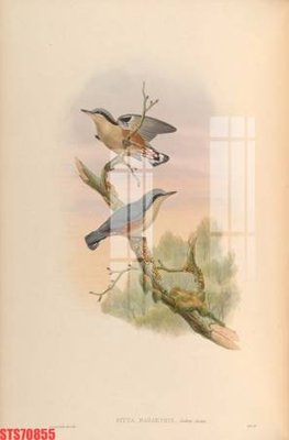 Tệp tin gốc Tranh sơn dầu phương tây tổng hợp STS70855 (chất lượng) Tranh sơn dầu phương tây tổng hợp STS70855