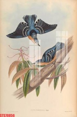 File in trần Tranh sơn dầu phương tây tổng hợp STS70856 (bản gốc) phong cảnh