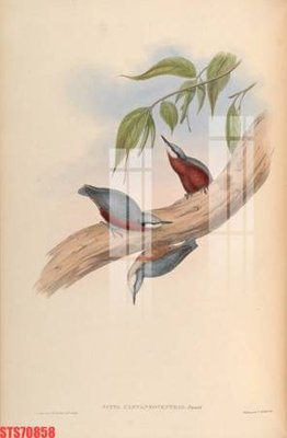 File tranh PSD Tranh sơn dầu phương tây tổng hợp STS70858 chất lượng cao