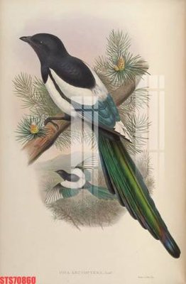 File tranh Tranh sơn dầu phương tây tổng hợp STS70860 (gốc) phong cách tối giản