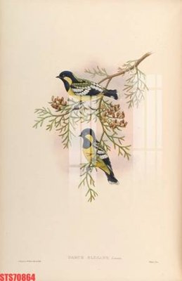 Tải file Tranh sơn dầu phương tây tổng hợp STS70864 (PSD) cho in ấn quảng cáo