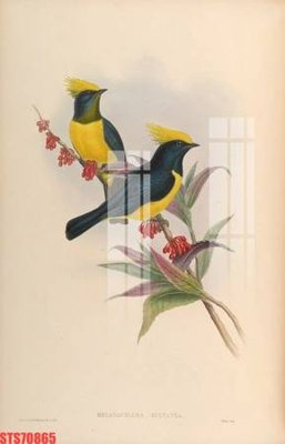 File tranh Tranh sơn dầu phương tây tổng hợp STS70865 (gốc) chủ đề thiên nhiên