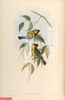 File gốc Tranh sơn dầu phương tây tổng hợp STS70867 (cho in UV) siêu nét