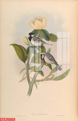 Download file Tranh sơn dầu phương tây tổng hợp STS70869 (chất lượng in ấn)