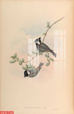 File gốc Tranh sơn dầu phương tây tổng hợp STS70875 (dành cho quảng cáo)