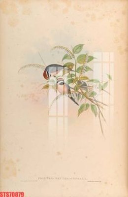 File gốc Tranh sơn dầu phương tây tổng hợp STS70879 (cho in ấn) từ kho Filetranh