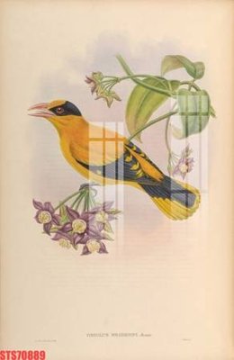 File gốc in ấn Tranh sơn dầu phương tây tổng hợp STS70889 (sẵn sàng tải về)