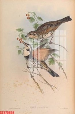 File ảnh Tranh sơn dầu phương tây tổng hợp STS70892 (gốc) cho trang trí nhà hàng