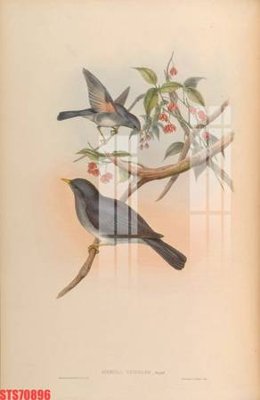 File gốc in tráng gương Tranh sơn dầu phương tây tổng hợp STS70896 chi tiết