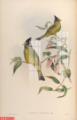 File gốc Tranh sơn dầu phương tây tổng hợp STS70901 (chuẩn CMYK) cho nhà in