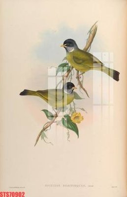 File gốc Tranh sơn dầu phương tây tổng hợp STS70902 (trang trí) cho phòng khách