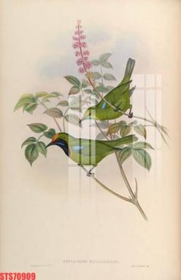 File gốc Tranh sơn dầu phương tây tổng hợp STS70909 (ảnh chi tiết) để in ấn