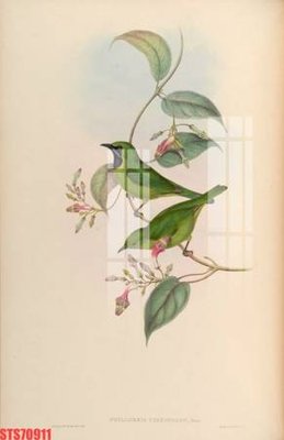 Download file gốc Tranh sơn dầu phương tây tổng hợp STS70911 (in lụa) nghệ thuật