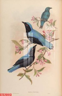 Download file Tranh sơn dầu phương tây tổng hợp STS70913 (gốc) in mica bàn thờ